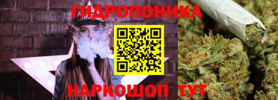 гидра Аргун