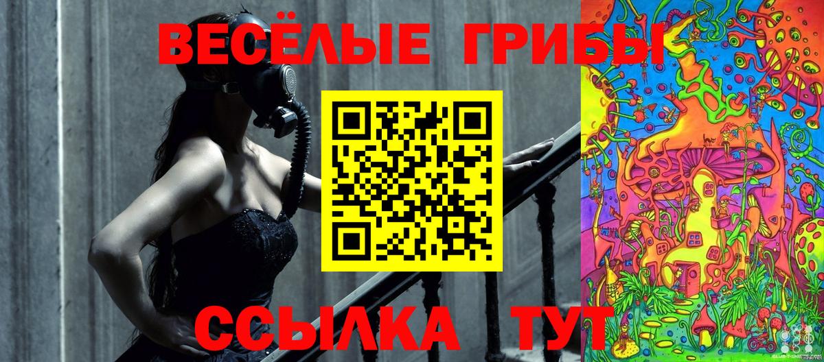 Псилоцибиновые грибы MAGIC MUSHROOMS  Вход с VPN  Воткинск  Галлюциногенные грибы Psilocybine cubensis 